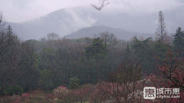 鐘山風(fēng)景區(qū)