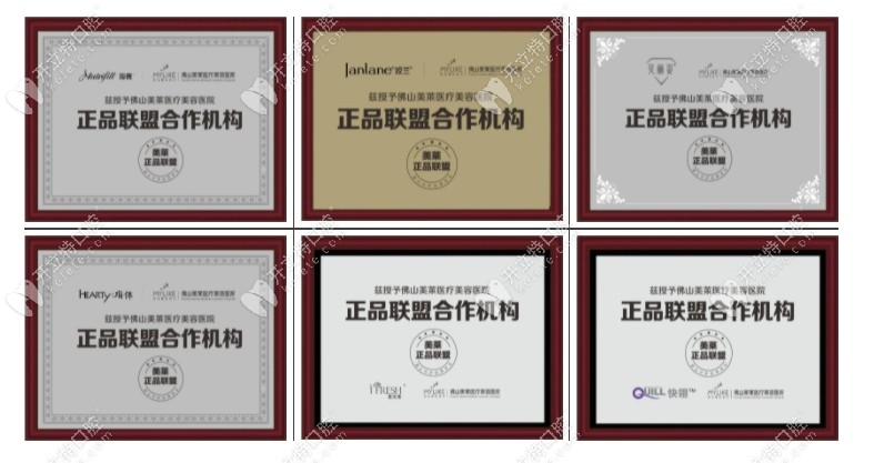 美萊集團(tuán)的榮譽(yù)