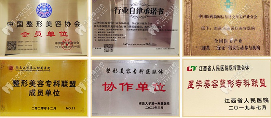 佳美榮獲的榮譽(yù)