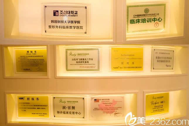 杭州瑞麗整形榮譽證書