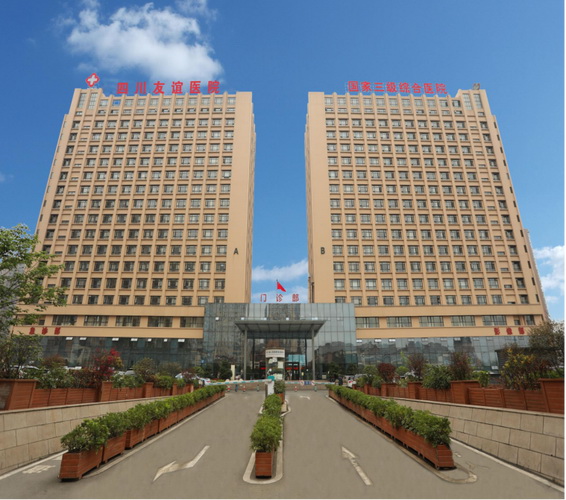 四川省人民醫(yī)院醫(yī)療集團友誼醫(yī)院大樓