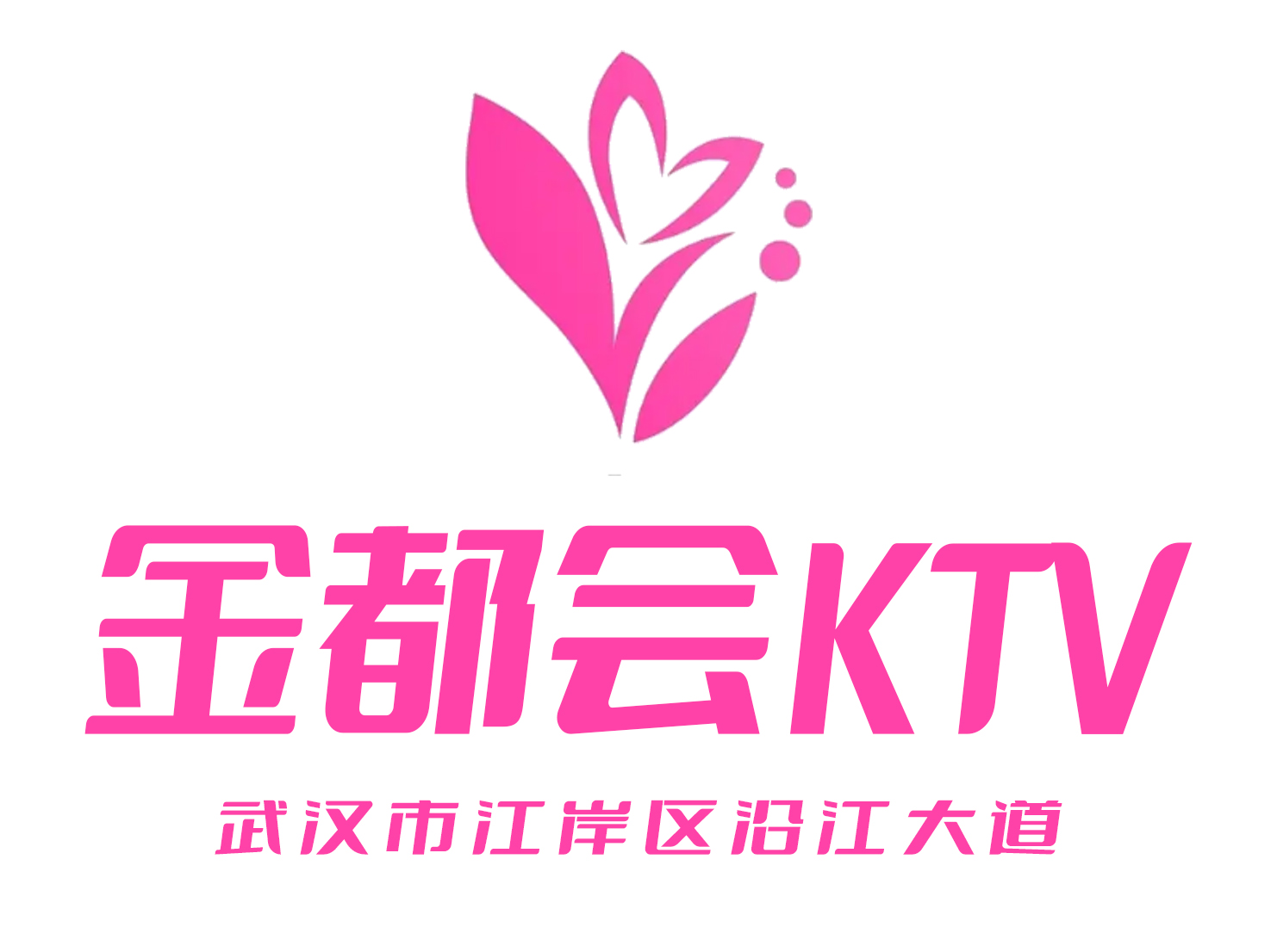 武漢金都會KTV