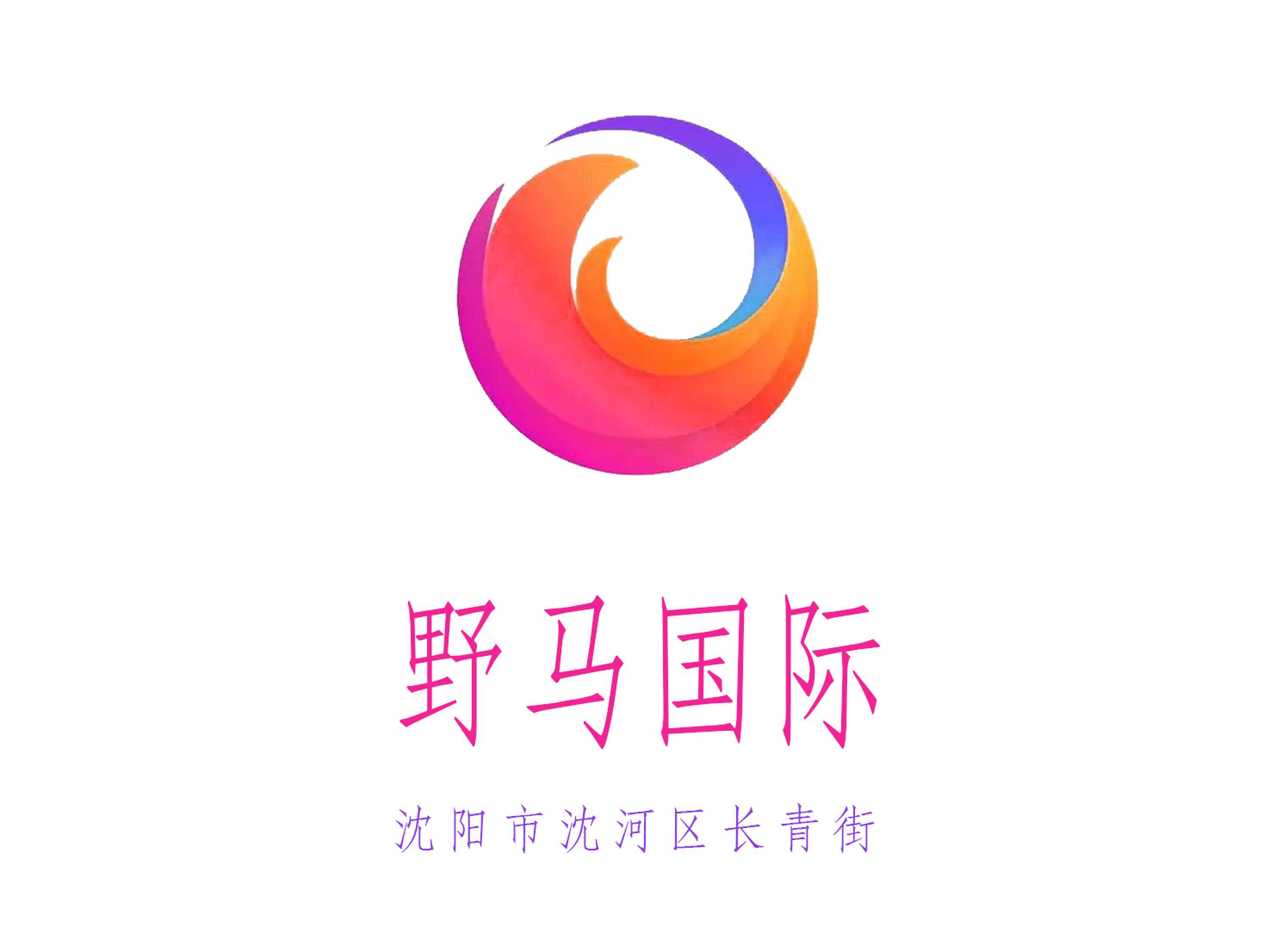 沈陽(yáng)野馬國(guó)際KTV