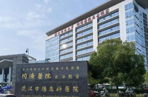 武漢同濟醫(yī)院.jpg